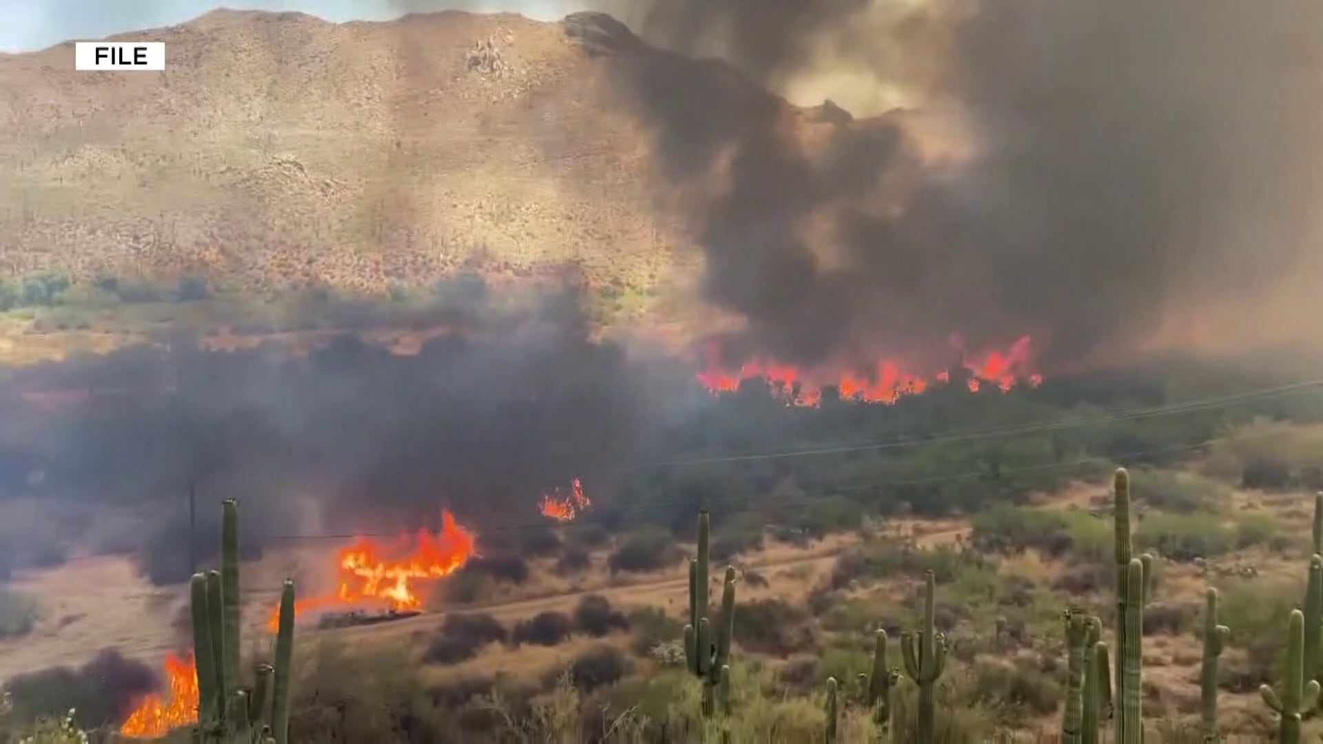 Fire crews urge Arizona residents to prepare now for peak wildfire season