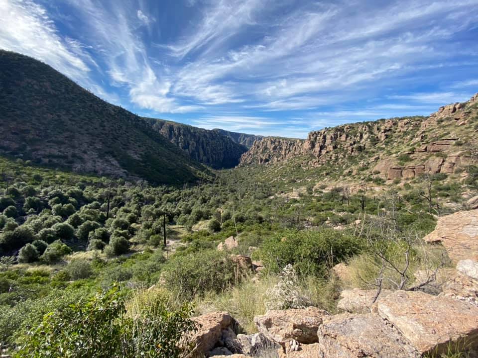 Arizona moves toward designating Chiricahua as national park