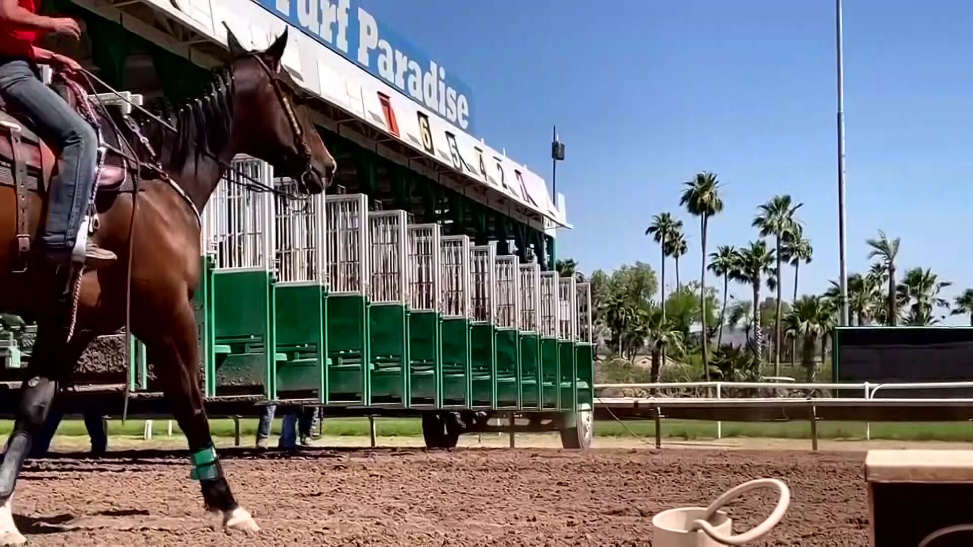 Arizona Racing Commission questions Turf Paradise readiness