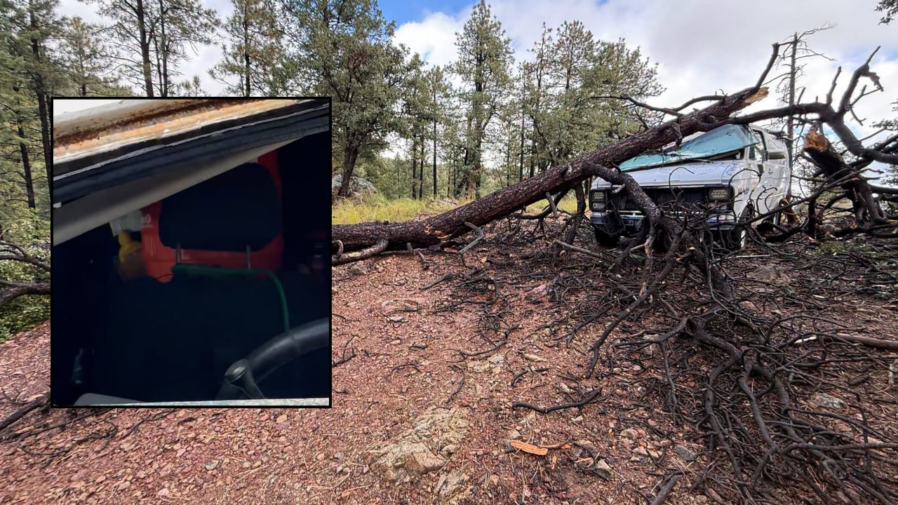 Man And Dog Unharmed After Tree Lands On Van In Prescott