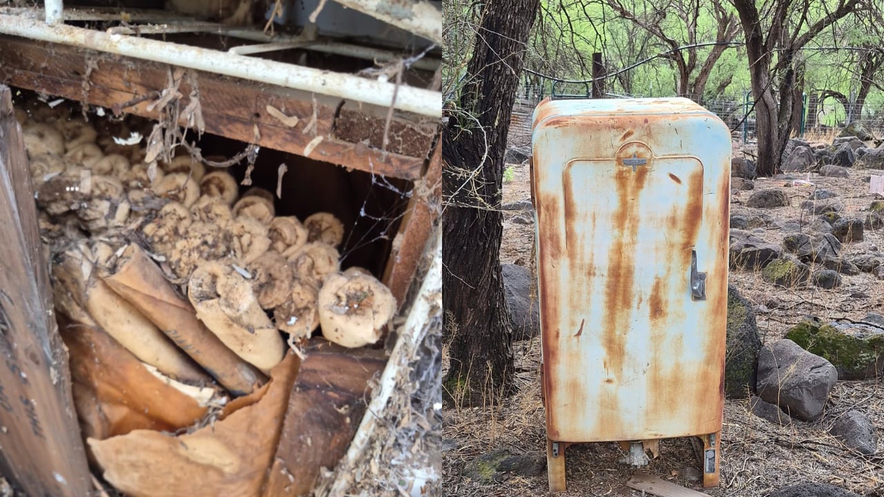 Unstable Dynamite Discovered in Subia Ranch Refrigerator, Safely Detonated