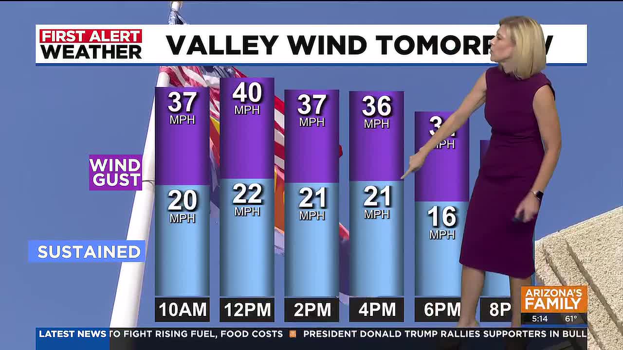 Strong winds bring damage risk to southern Arizona