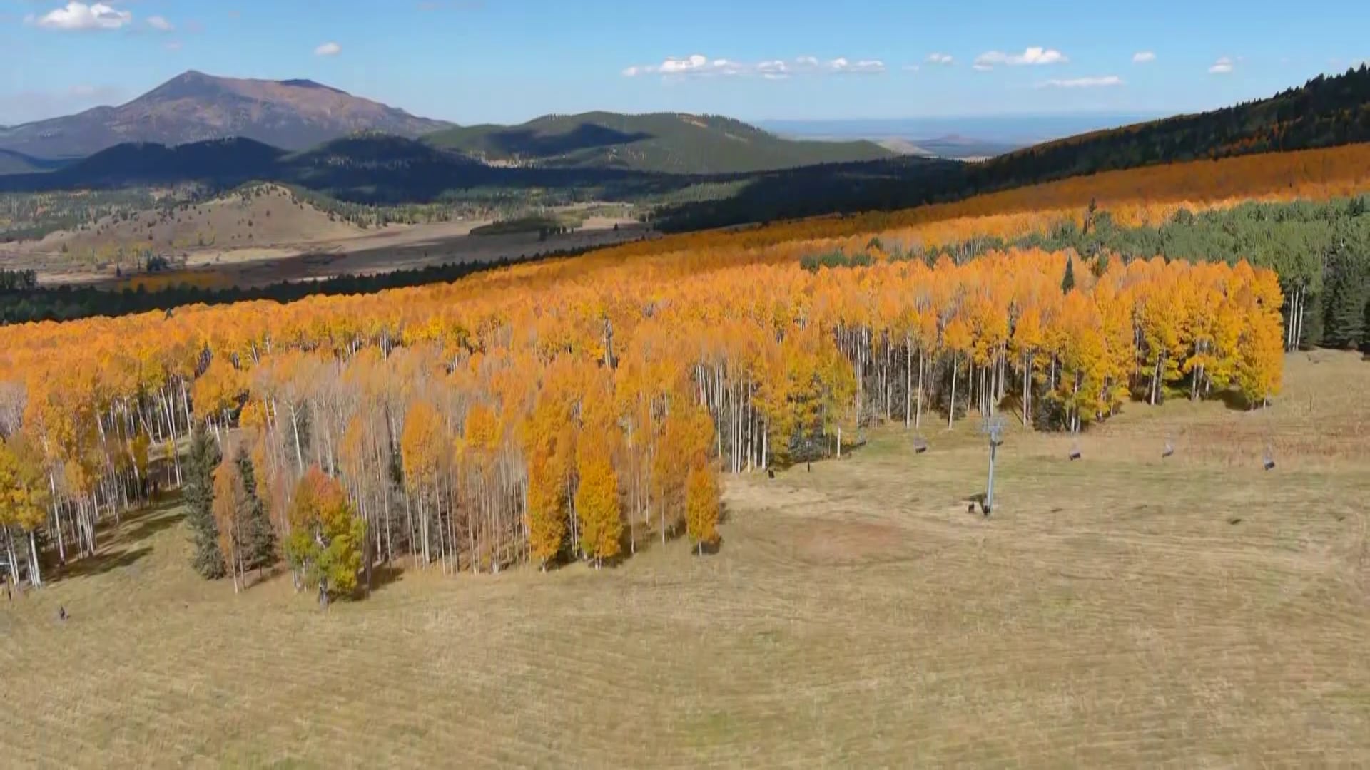 Aspen leaves peak in Flagstaff as autumn draws visitors
