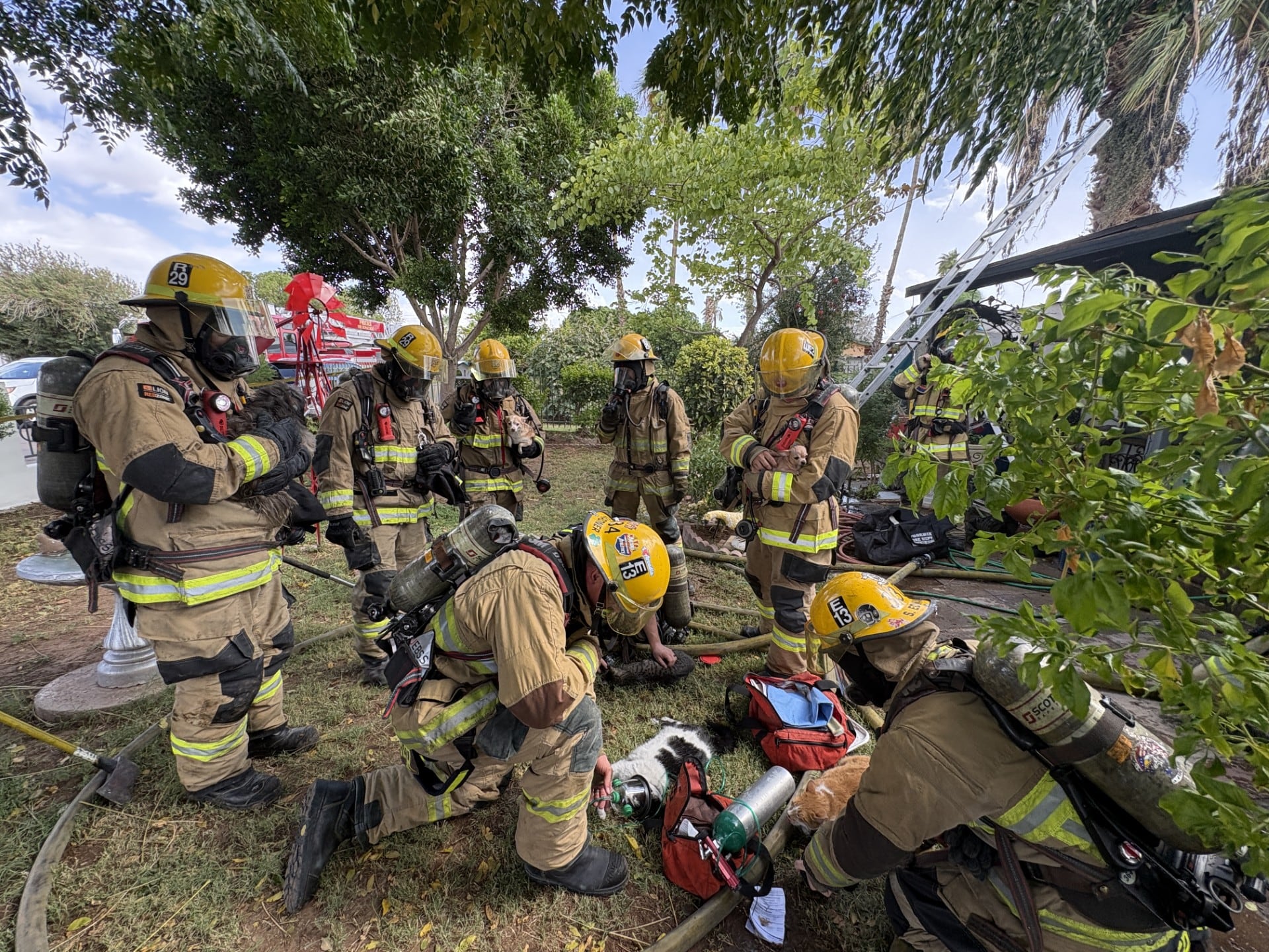 Firefighters Rescue Multiple Pets from Central Phoenix House Fire
