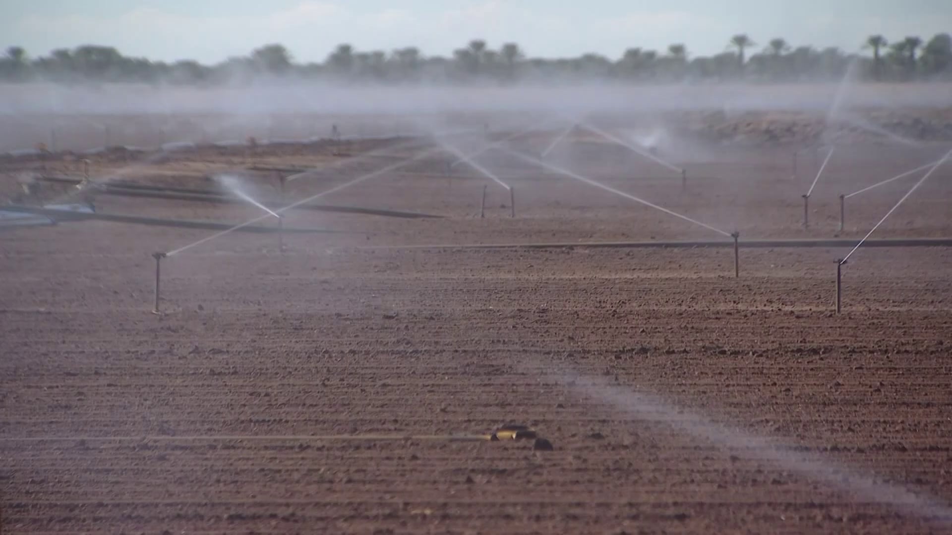 Illegal dumping threatens food safety at Yuma farm fields