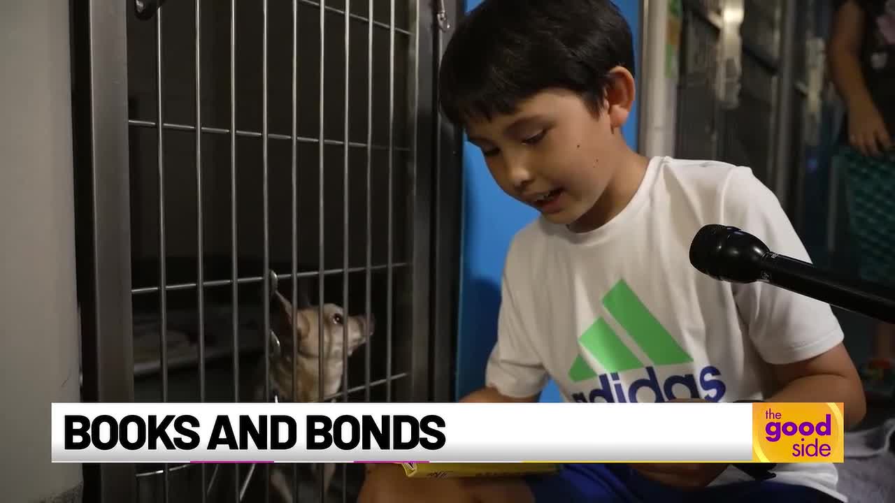 Virginia Shelter Launches Reading Tails Program to Support Animal Adoption