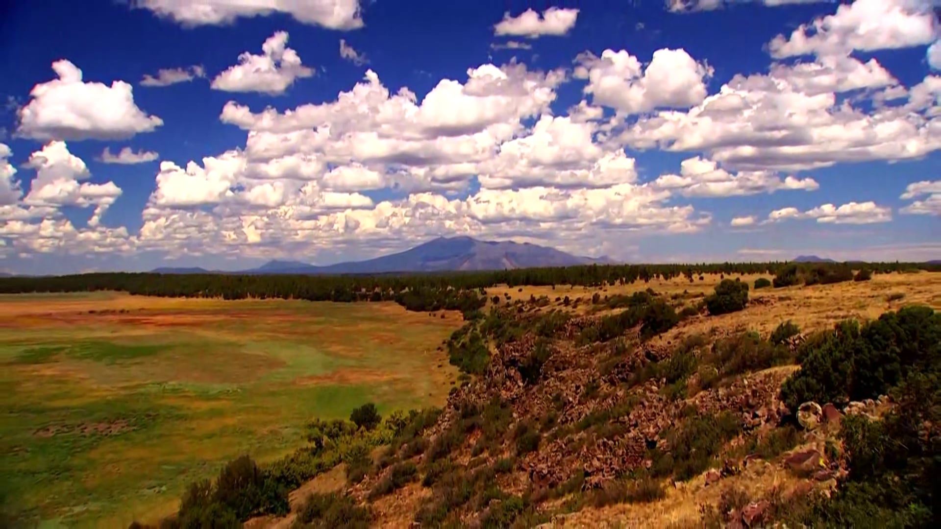 Coconino County Task Force Works to Identify Decades-Old Unidentified Human Remains