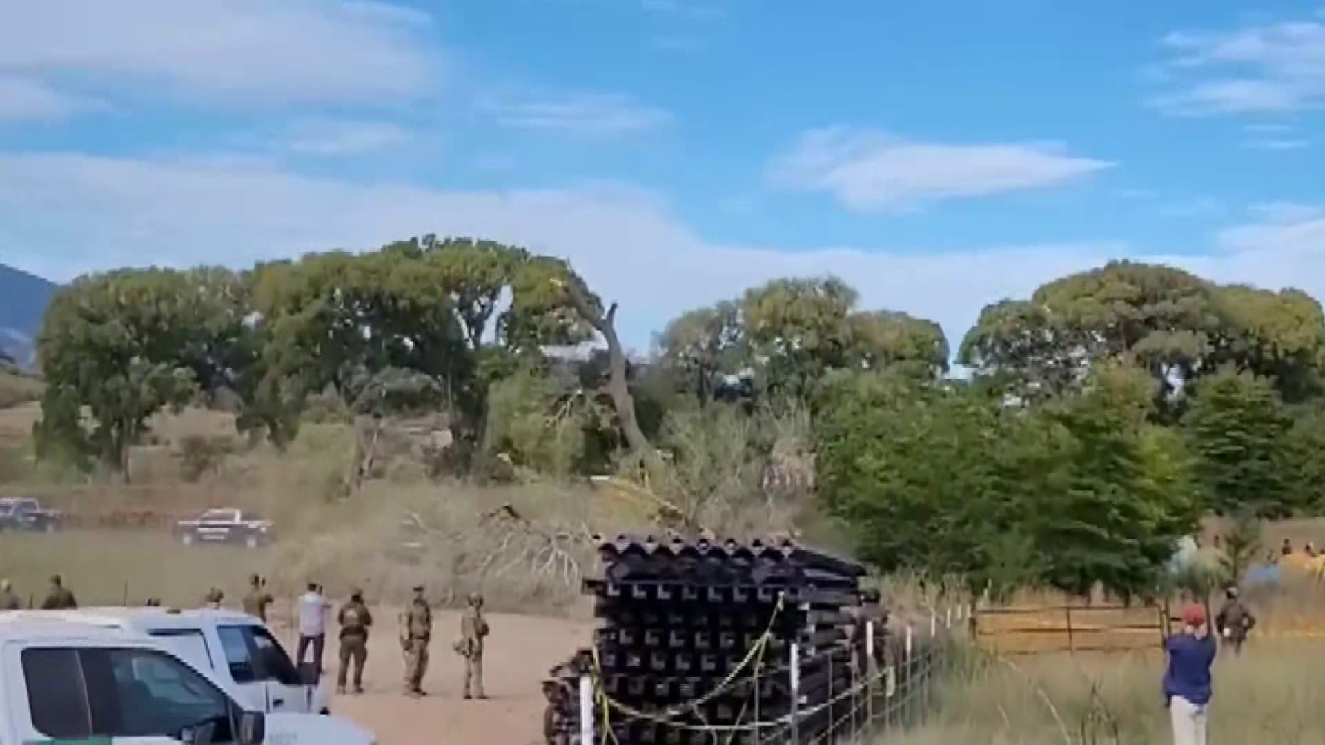 200-year-old Arizona tree felled during federal raid on border wall protesters
