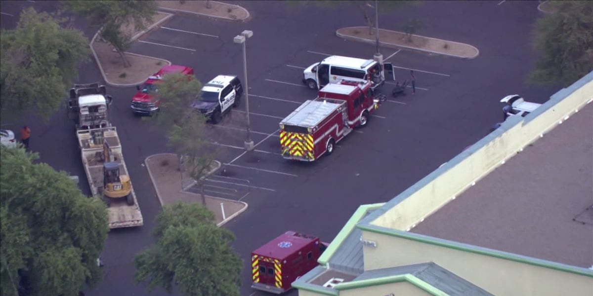 Four Hospitalized After Bee Attack Near Tempe Dollar Tree, Phoenix Metro on Alert