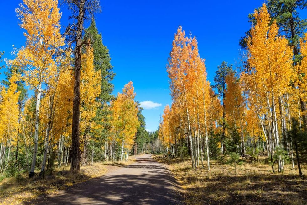 White Mountains (Source: 123rf.com)