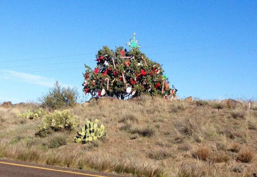 Scrubby the Christmas tree