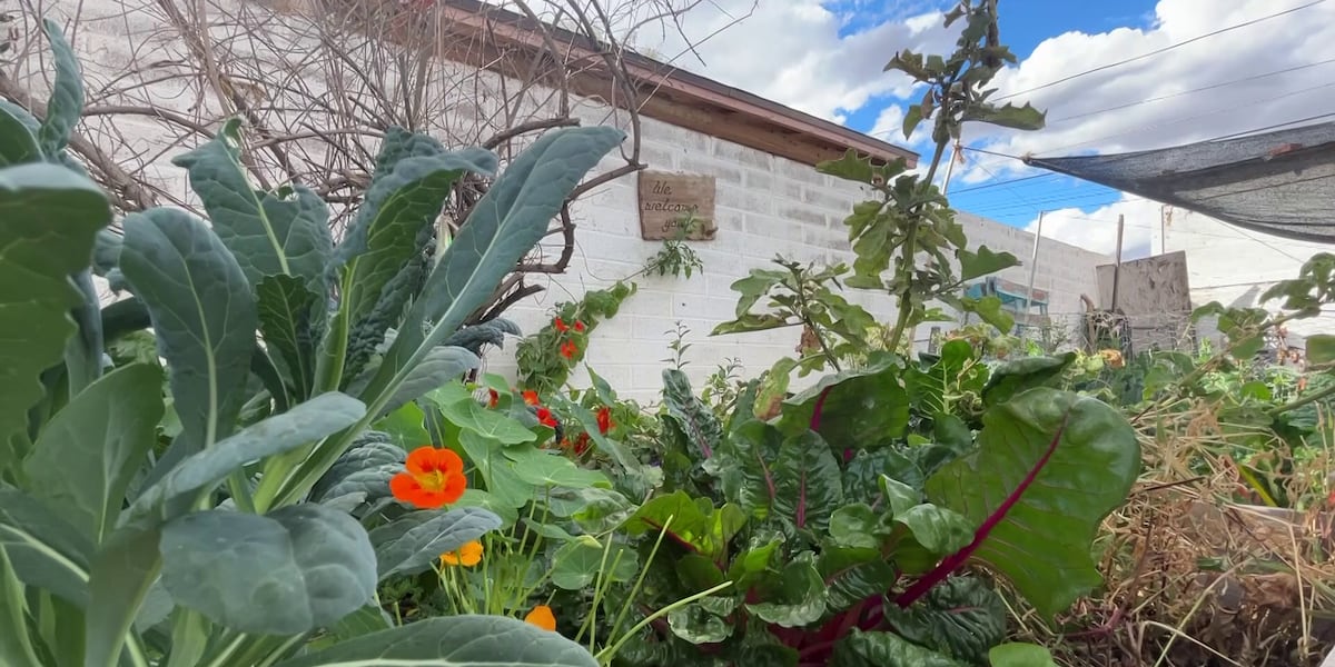 Arizona farmers could face bankruptcy due to federal funding freeze Arizona farmers could face bankruptcy due to federal funding freeze