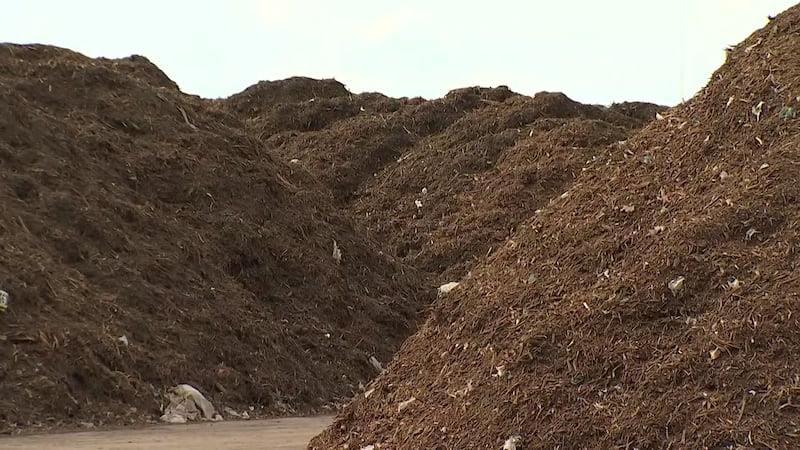Experts say turning food scraps into compost can conserve groundwater.