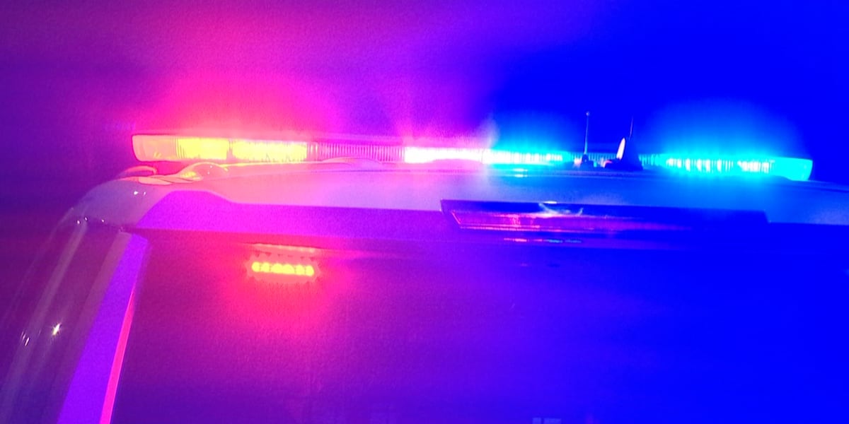 Multiple Children Drown in India, US, Ongoing Investigations Underway