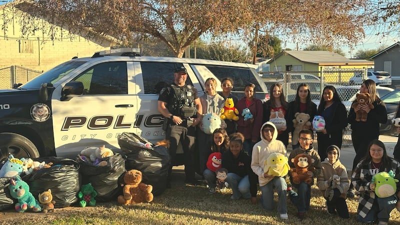 The over 250 stuffed toys that were donated will help Buckeye officers bring comfort and...