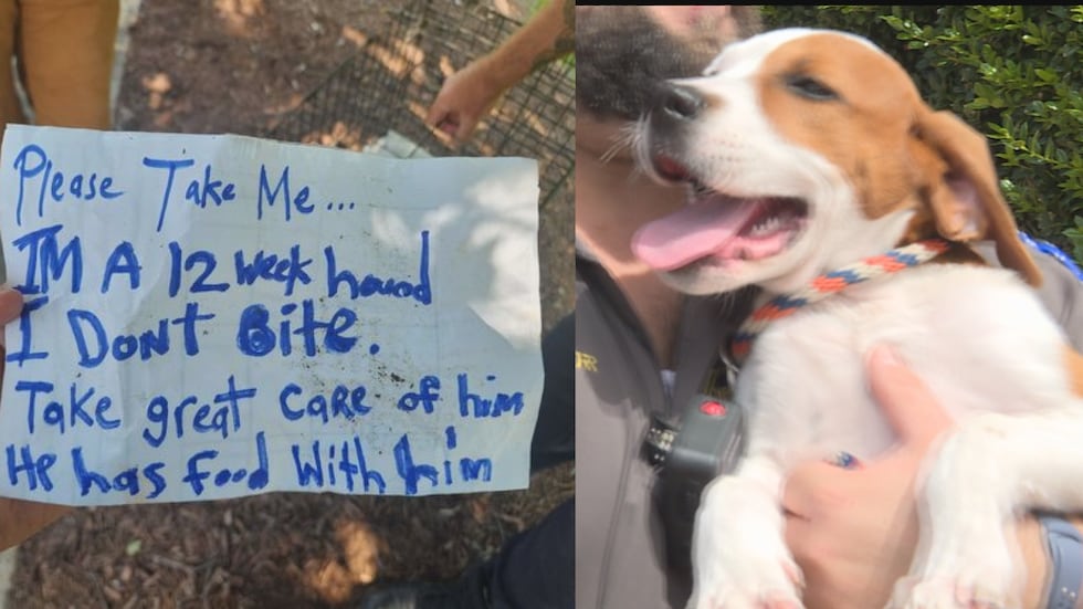 A puppy was found in a cage on the side of the road with only a bag of food inside, no water...