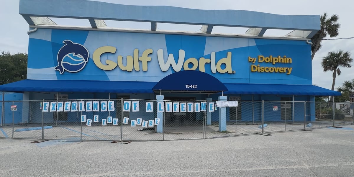 Florida Senator Confirms Fifth Dolphin Death at Gulf World Marine Park, Calls for Animal Relocation
