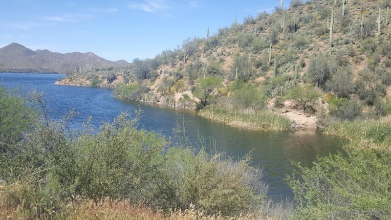 An Arizona man is accused of living illegally in the Tonto National Forest for years.