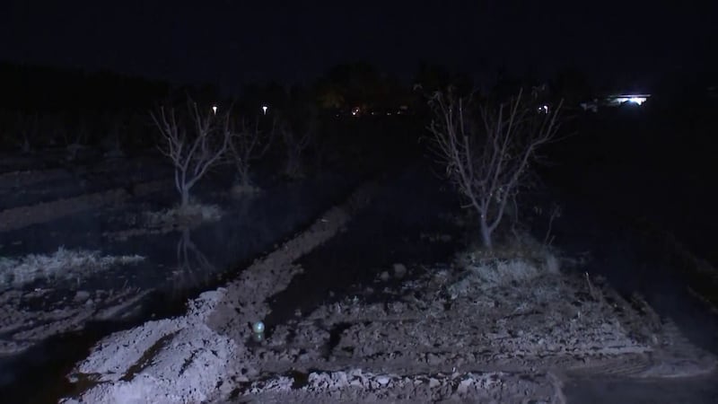 The farm starts running the water the night before, so the orchard fills up during the coldest...