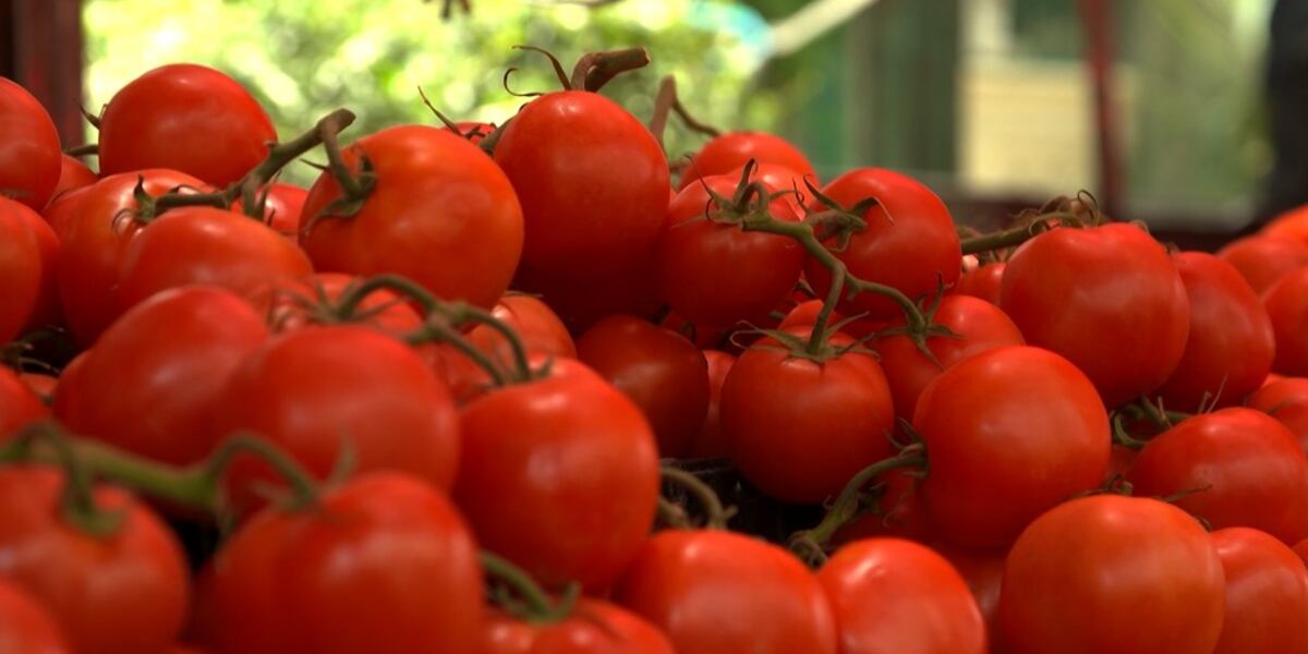 U.S. Ends Mexico Tomato Trade Deal, Tariffs Raise Prices Nationwide