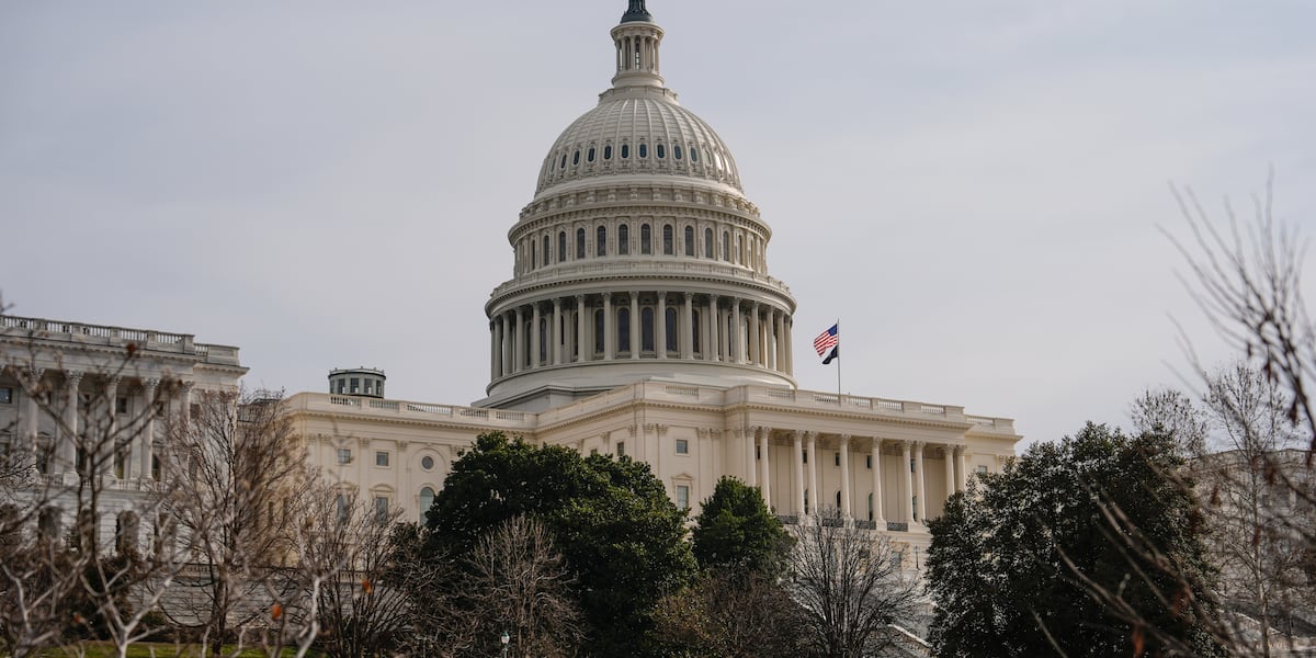 Democrats, White House strike spending deal that would avert government ...