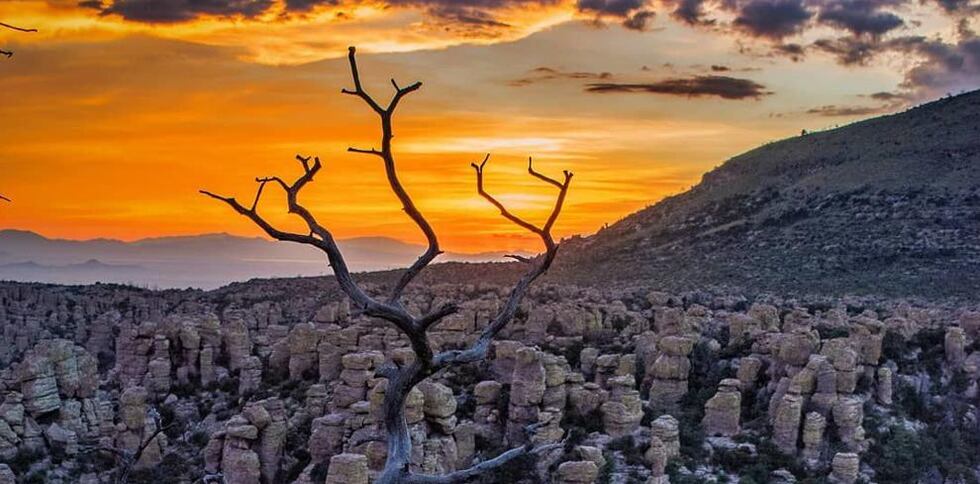 Chiricahua National Monument (Source: Instagram @abhiv_7575)
