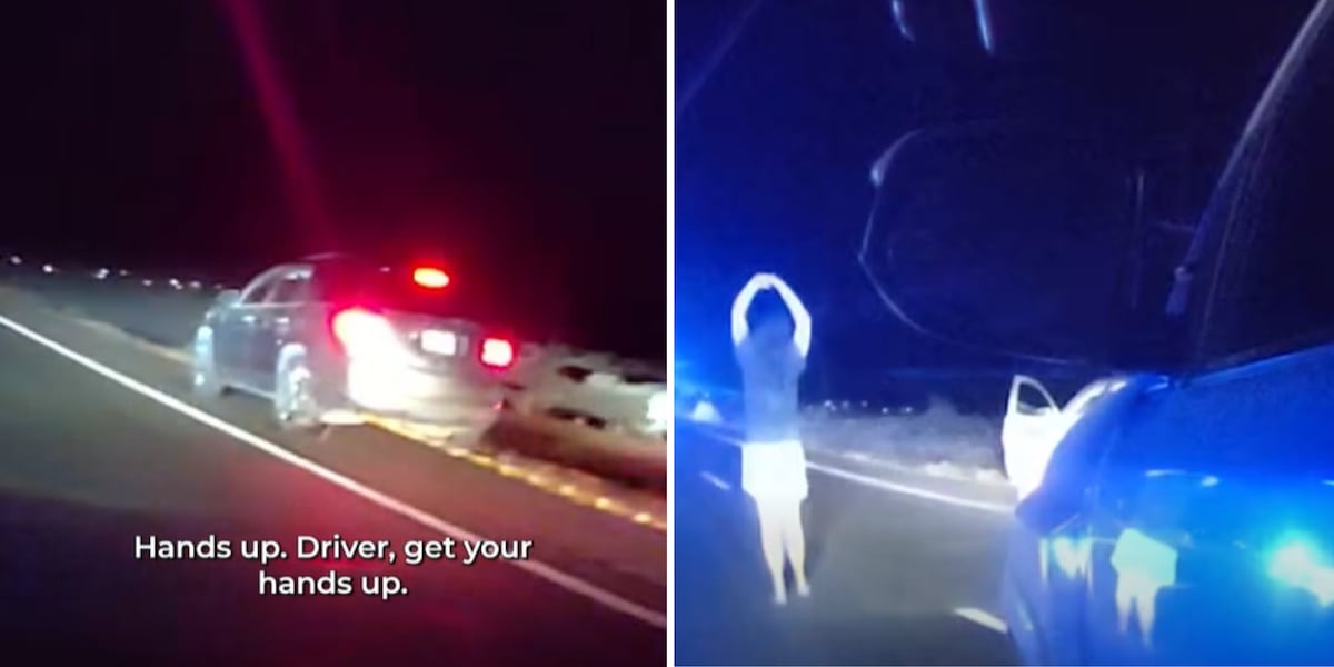 Traffic stop escalates into police grappling reckless driver in Chandler