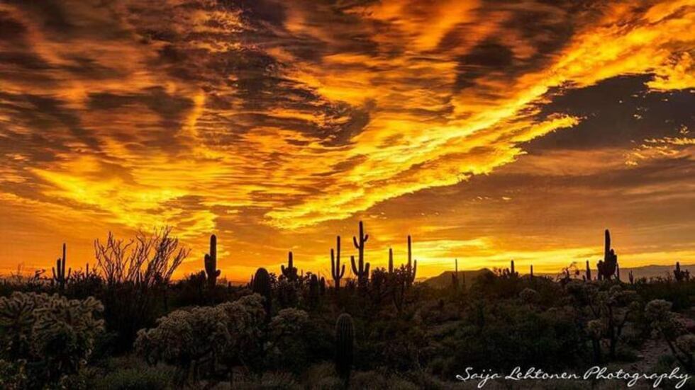 (Source: IG @photographybysaija)