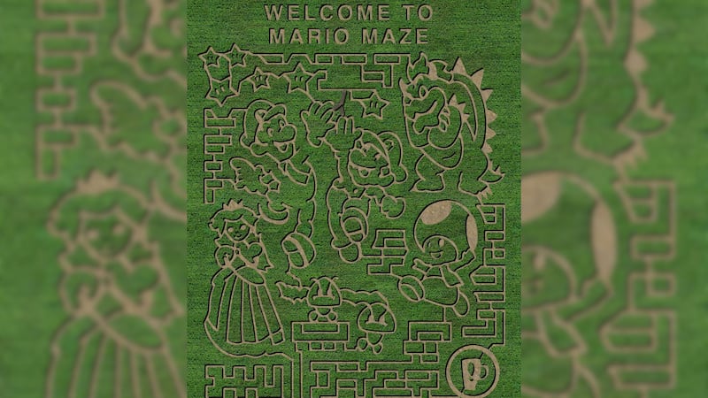 This farm’s 2023 corn maze theme is based on the Super Mario Bros.