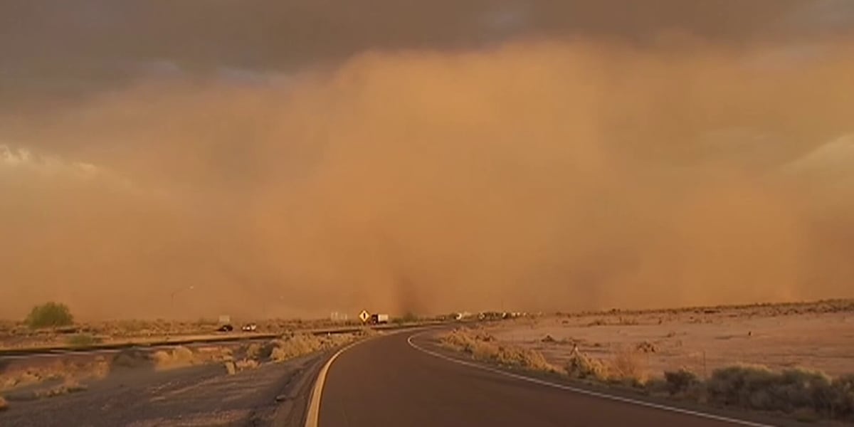 Eloy firefighters share tips on driving during Arizona’s dust storms