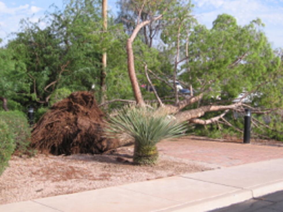 Phoenix Area Storm Damage 2008