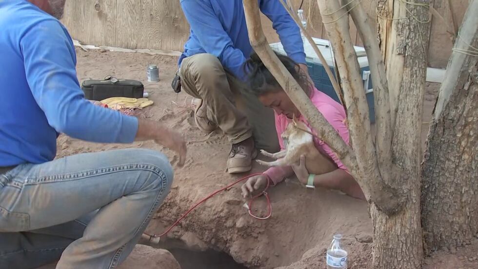 Samson's K9 Search & Rescue and 100% Plumbing work to rescue a 15-year-old pup from a tortoise...