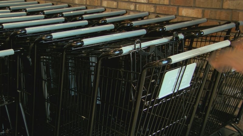 File photo of shopping carts.