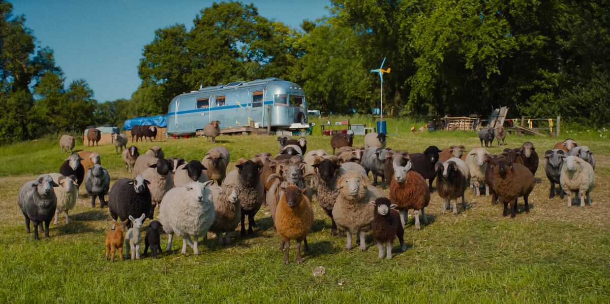 ‘The Sheep Detectives’: A Murder Mystery Solved by a Flock of Digital Ovine Sleuths — image 1