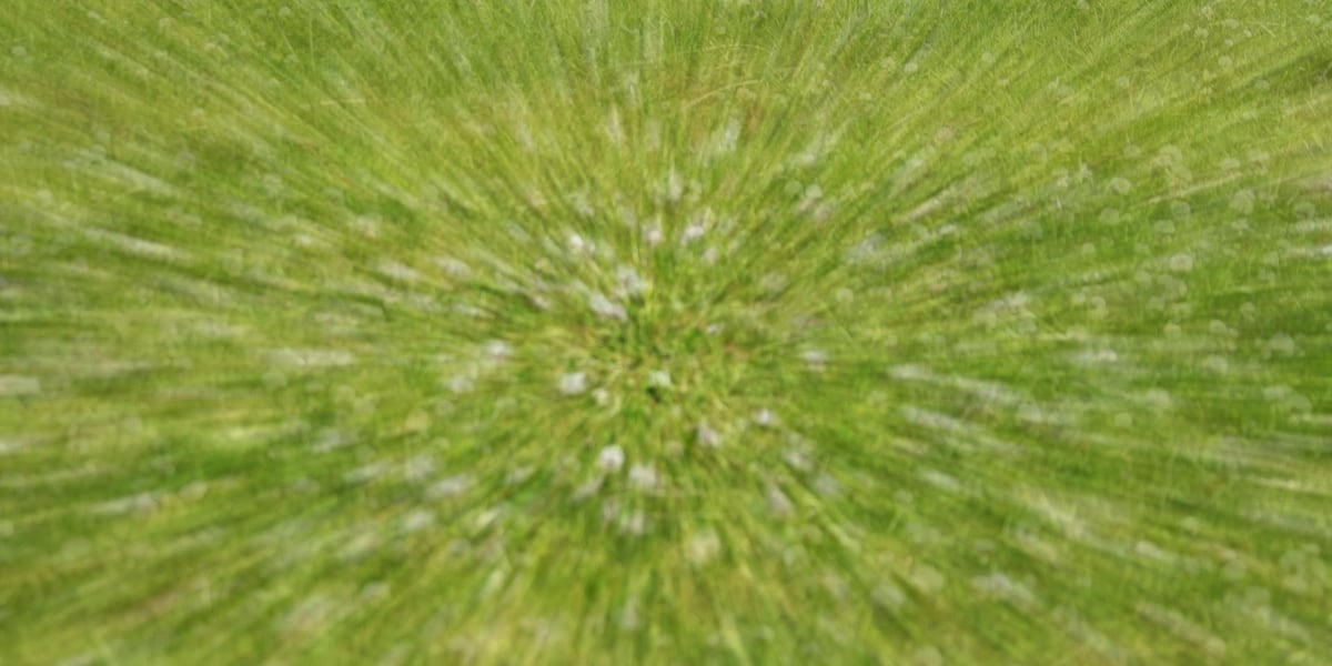 Michigan Grandmother Accidentally Kills Toddler Mowing Lawn