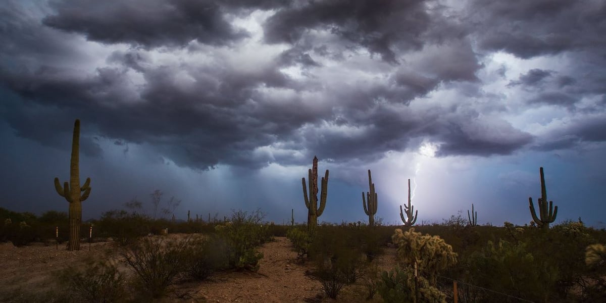 First Alert Sunday: Storm chance returns, cooler week ahead