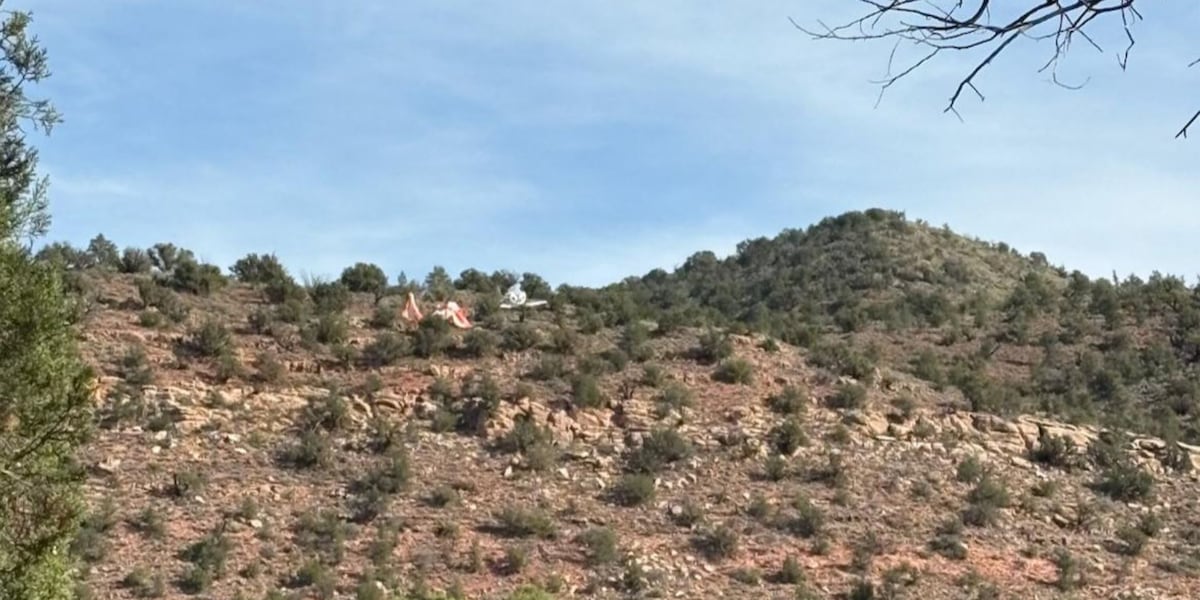 Couple Survives Sedona Plane Crash Using Aircraft Parachute