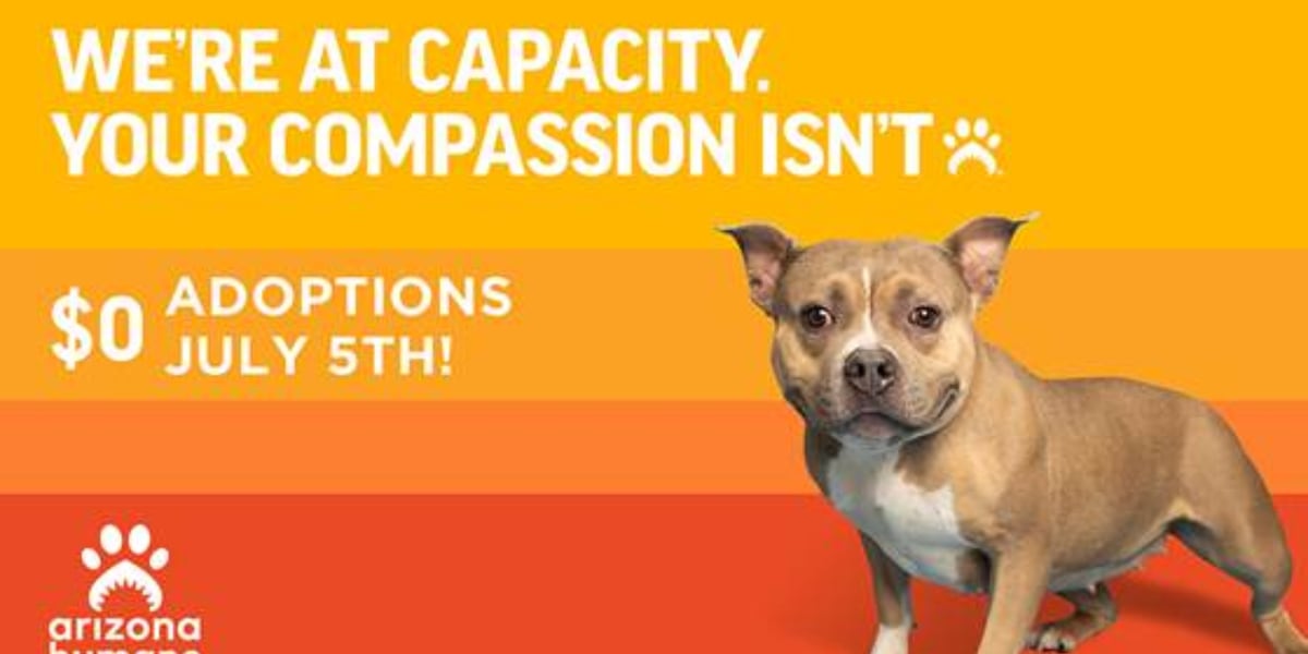 Arizona Humane Society offering $0 adoptions after record-breaking weekend
