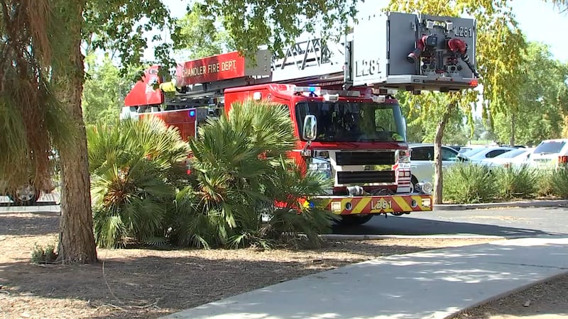 Several Chandler high school cross country runners were treated for heat-related illness...