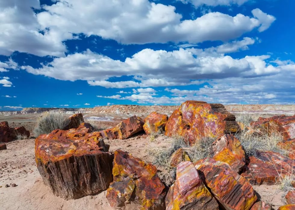 Juan Carlos Munoz // Shutterstock