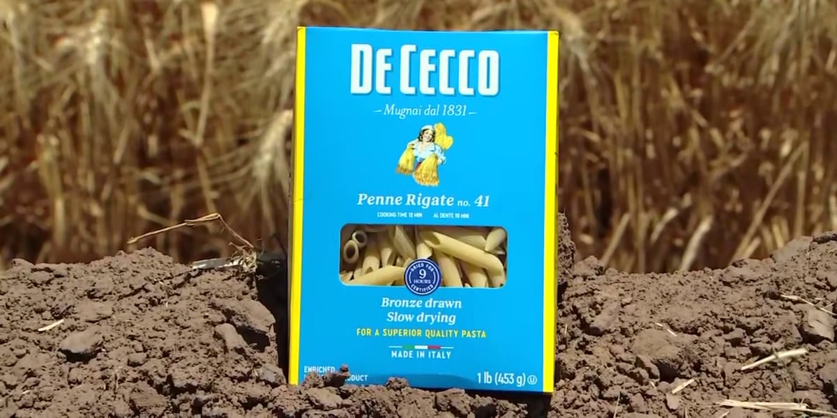 Yuma’s wheat fields fuel global pasta production
