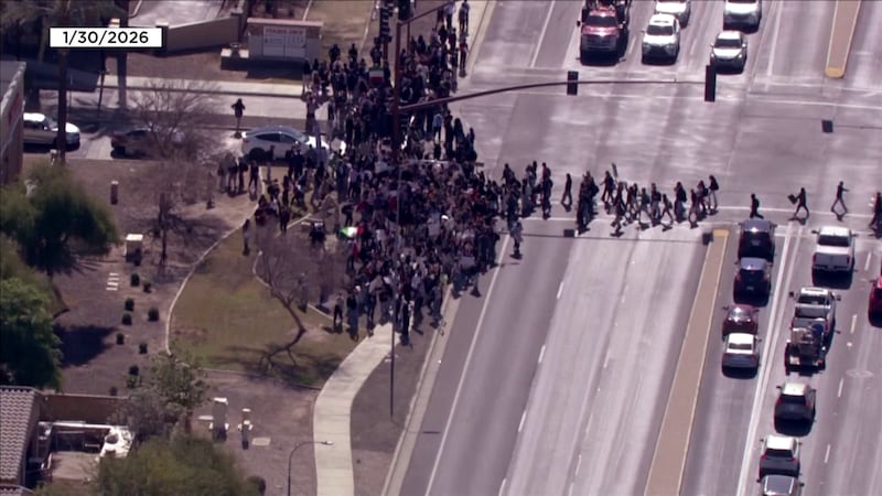 An armedmasked man who showed up during an anti-ICE student walkout three months ago at...