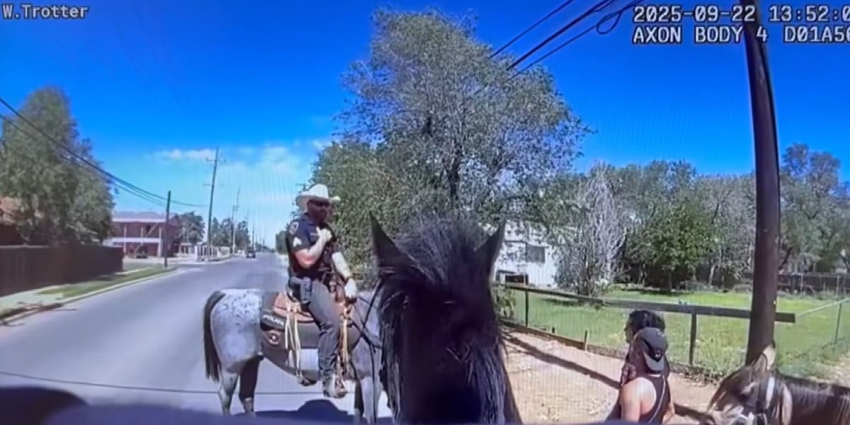 Lubbock Suspect Flees After Police Claim Narcotics-Smelling Horse