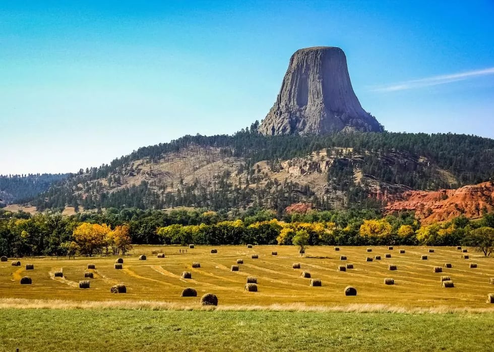 Hale Kell // Shutterstock
