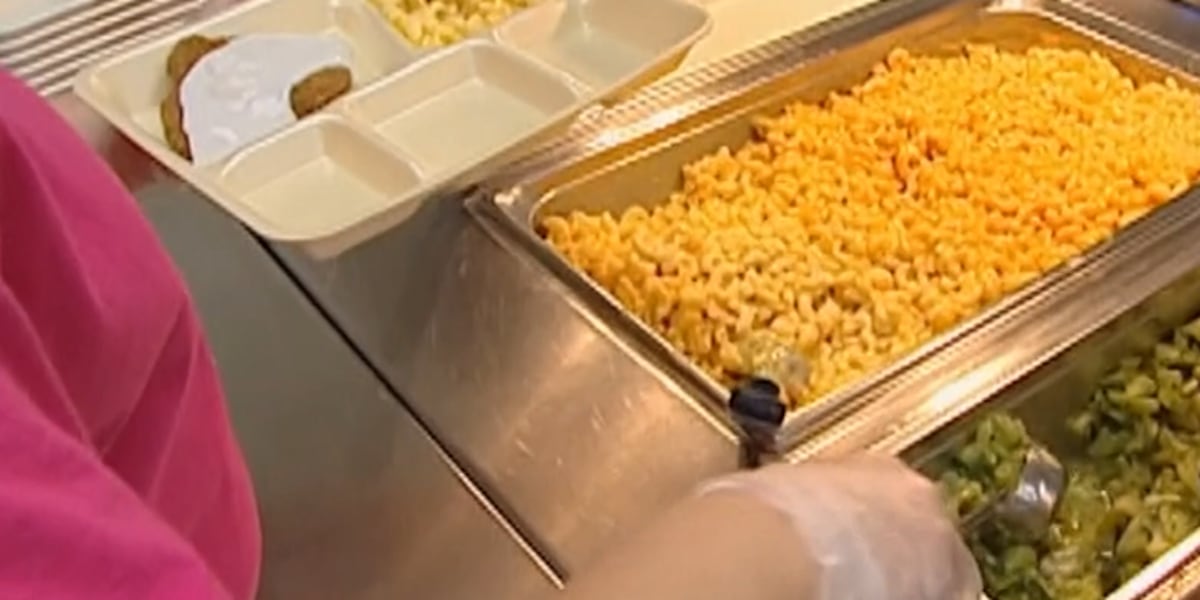 Arizona bill aims to ban ultraprocessed foods from school lunches
