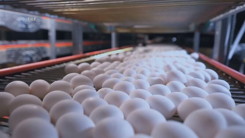 The Arizona Department of Agriculture established new regulations last year that require all...