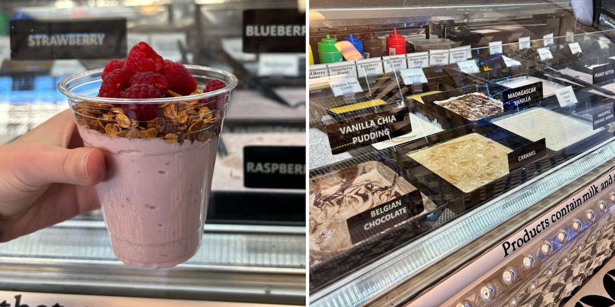 Gilbert couple turns yogurt obsession into thriving small business Gilbert couple turns yogurt obsession into thriving small business