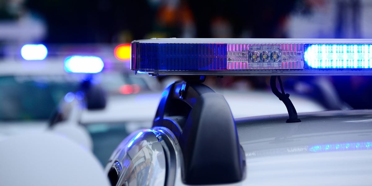 Four Minors Killed, Six Injured in Illinois Daycare Crash