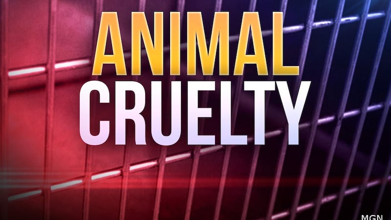 One man has been arrested and two suspects are on the run after police found a dog fighting...