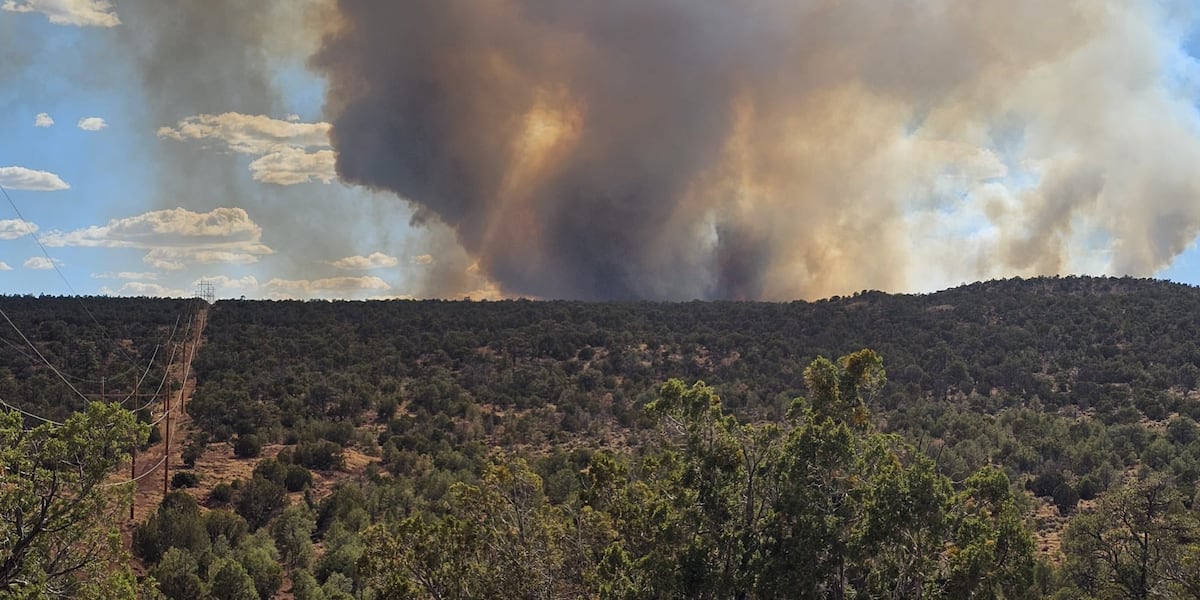 All evacuations lifted as Oak Ridge Fire nearly contained on Navajo Nation